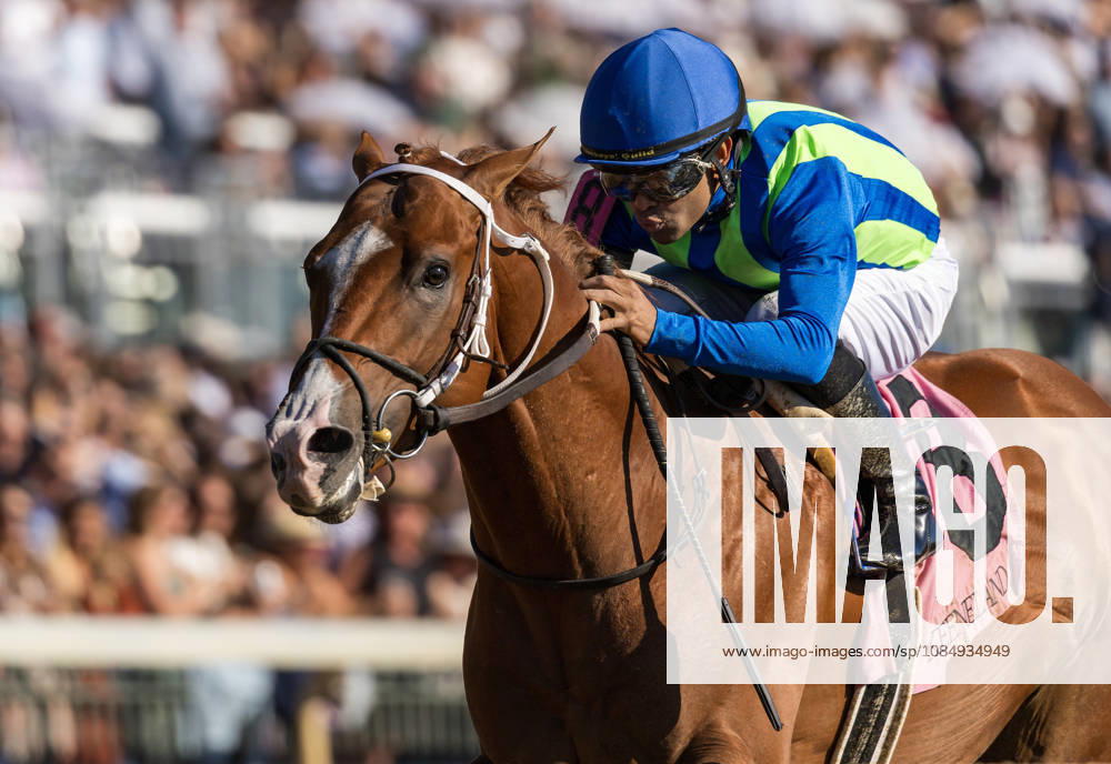 T V Time OUt (8) ridden by Luis Saez wins a maiden during Bank of America Valley View S Day on October 23, 2026. Candice Chavez Eclipse Sportswire CSM HORSE RACING 2026: Bank Of America Valley View S Day Keeneland OCT 23 - ZUMAcs17 20261023_faf_cs17_043