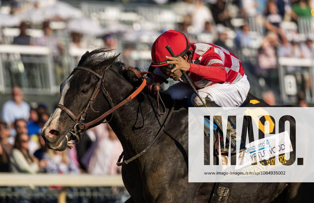 HORSE RACING 2026: Bank Of America Valley View S Day Keeneland OCT 23 October 23, 2026, Lexington, Ky, USA: Stress Relief (6) ridden by Luis Saez wins the Dean Dorton Myrtlewood Stakes during Bank of America Valley View S Day on October 23, 2026. Candice Chavez Eclipse Sportswire CSM(Credit Image: Â {Serial Cal Media) Lexington Ky USA