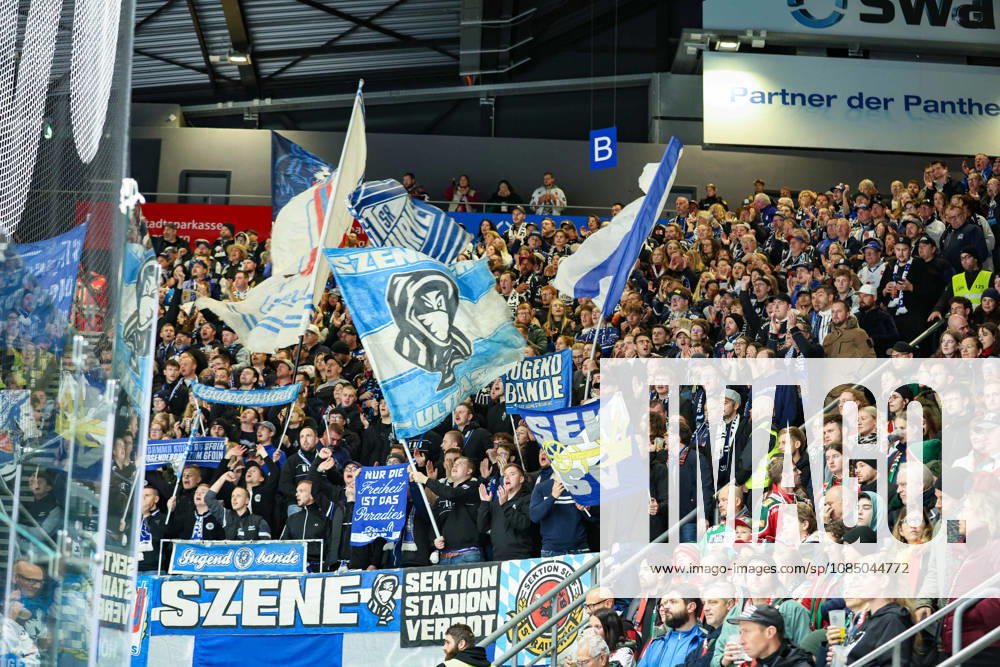 PENNY DEL 2026–2027, Game 12: Augsburg Panthers vs. Straubing Tigers. Pictured: the Straubing Tigers fan section.