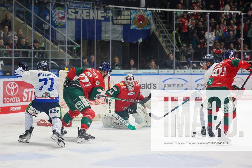 One-on-one, action, featuring Nick Halloran 71 (Straubing Tigers), Kyle Wood 37 (Augsburg Panthers), Peyton Jones 41 (Augsburg Panthers), Philipp Krauss 20, Augsburg Panthers, Augsburg Panthers vs. Straubing Tigers, Matchday 12, Ice Hockey, Penny DEL, October 25, 2026, Augsburg, Bavaria, Germany