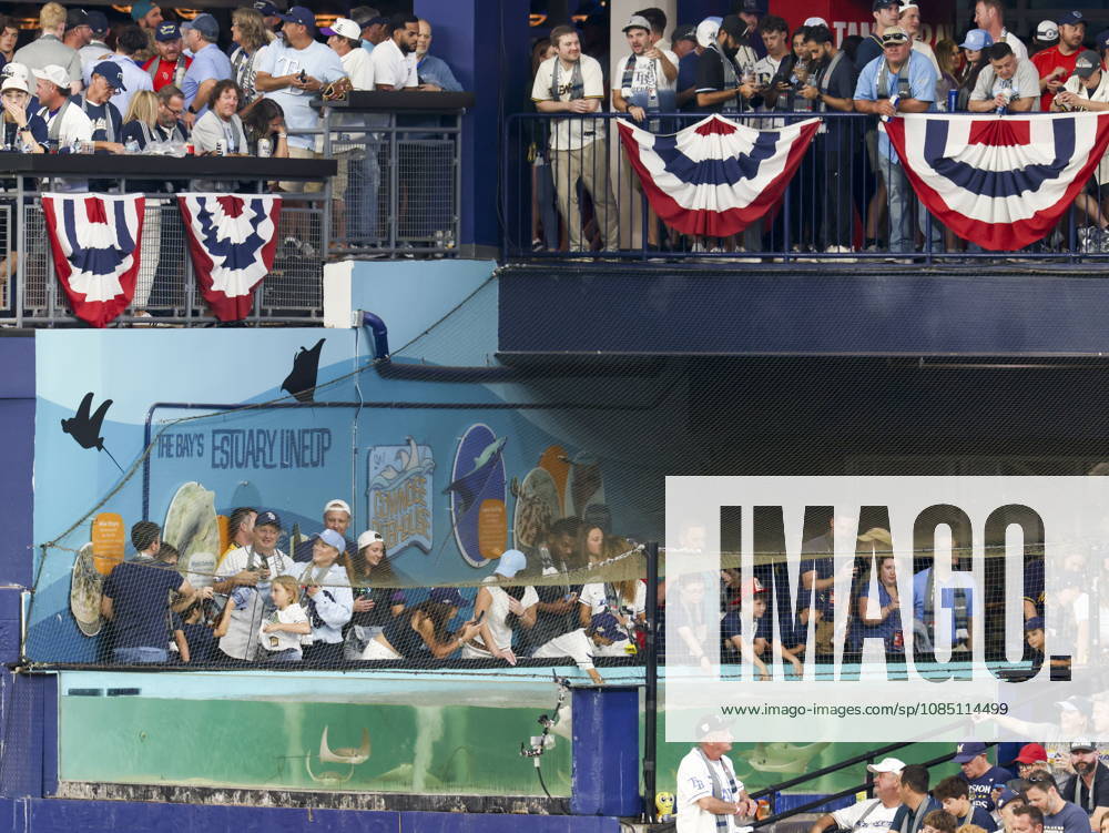 MLB, Baseball Herren, USA World Series Game 3 - Tampa Bay Rays v Milwaukee Brewers Fans pet stingrays at The Ray Tank prior to the Major League Baseball (MLB) World Series Game 3 between the Milwaukee Brewers and Tampa Bay Rays at Tropicana Field in St. Petersburg, Florida, USA, 26 October 2026. ST. PETERSBURG FLORIDA UNITED STATES