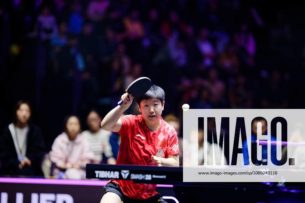 Sun Yingsha prepare un coup droit Benjamin ELKAIM MAXPPP - Montpellier 30 10 2026 Tennis de table WTT Champions Montpellier 2026 1 8 de finale 30 octobre 2026. Sun Yingsha, joueuse chinoise (n°2 mondiale), prepare un coup droit avec sa raquette levee. Elle remporte son match 3-2 face a -shinyubin (n°12 mondiale). WTT Champions Montpellier 2026 in Montpellier, France on October 30, 2026. Montpellier FRANCE