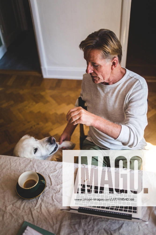 IMAGO Creative: Dichotomien, Generationen High angle view of senior man playing with dog while working on laptop from home , model released, property released