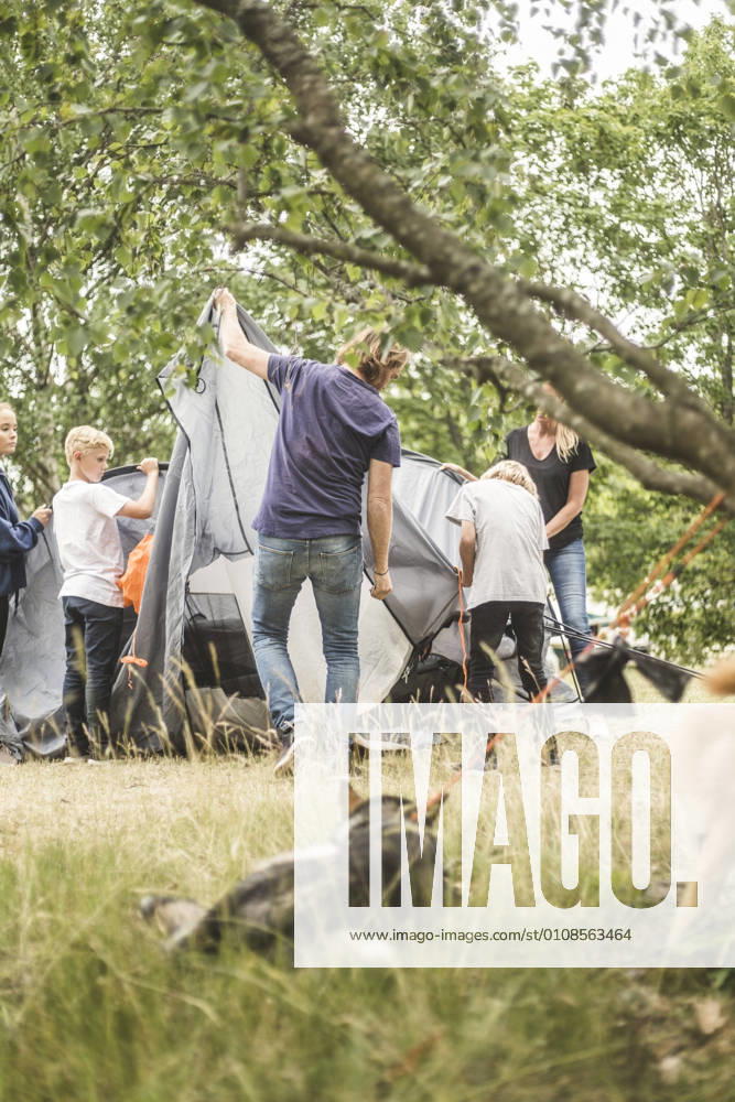 IMAGO Creative, Jahreszeit Sommer, Sommerferien Family pitching tent at camping site with dogs in foreground , model released, property released