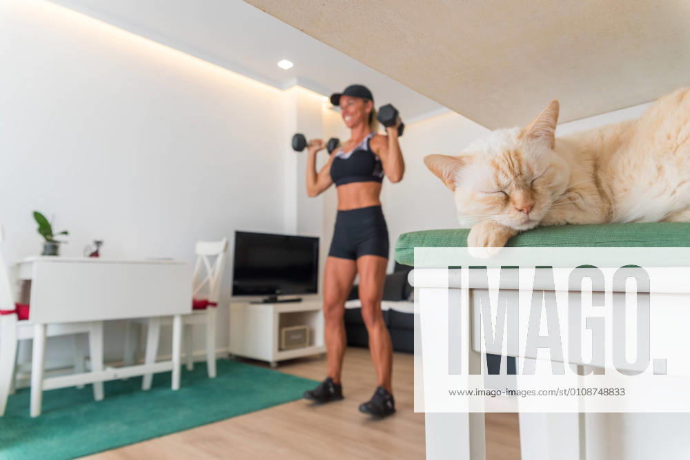 Sleeping cat near female athlete watching online video on laptop and doing exercises with dumbbells during training at home