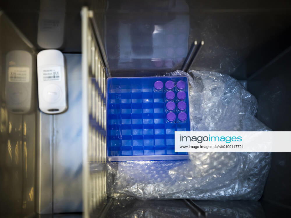EUROPE, GERMANY, BAVARIA, BAMBERG, 27 12 2020 Vaccination launch in Bamberg The first shipment of the first Corona vaccine available in Europe arrives at the Albrecht Dürer Seni