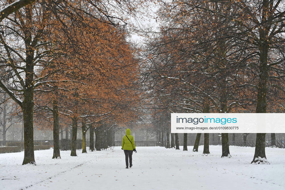 Theme image Winter in the coronavirus pandemic prolonging lockdown until 31 January 2021, city of Munich looking into the Hofgarten only one perosn walks on a snowy path on 12 01 2021
