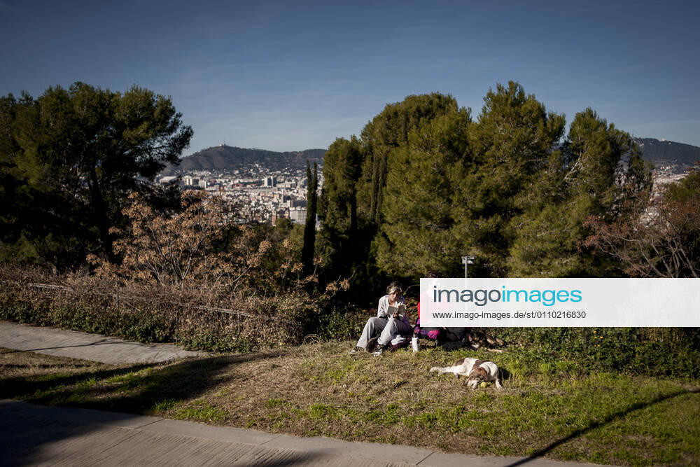 On this sunny Sunday women and a dog relax at Montjuic hill with Barcelona city in the background, imposed municipal lockdown to fight the spread of the coronavirus third wave in the Catalan region bans people leaving it s own city or town limits. Barcelona Spain - ZUMAb137 20210117_zap_b137_001
