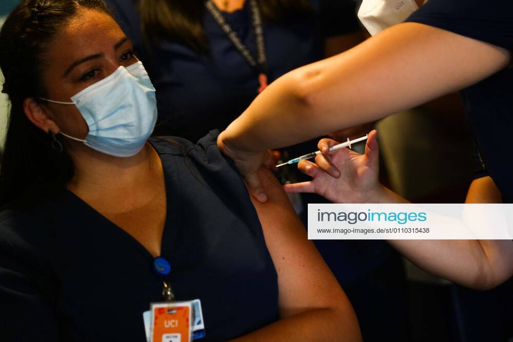 The first 3500 doses of Pfizer BionTech vaccine arrive in Arica Vaccination began immediately and these will be distributed to health personnel in the region of Arica and Parinacota, as well as to SENAME and SENAMA in the region. Photos Patricio Banda Aton Chile, Arica Chile Aton 480933