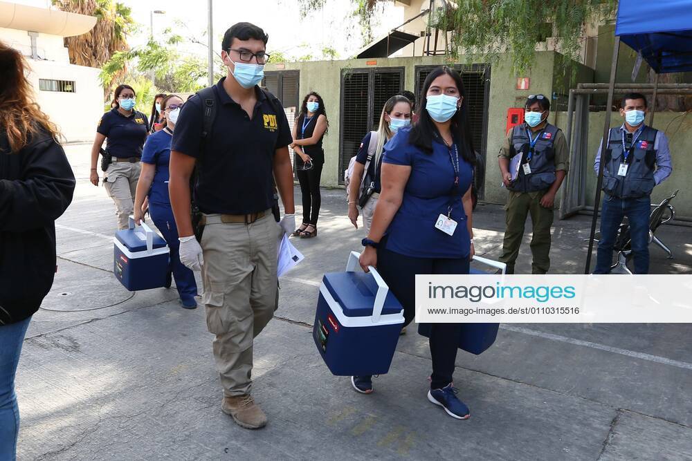 The first 3500 doses of Pfizer BionTech vaccine arrive in Arica Vaccination began immediately and these will be distributed to health personnel in the region of Arica and Parinacota, as well as to SENAME and SENAMA in the region. Photos Patricio Banda Aton Chile, Arica Chile Aton 480950