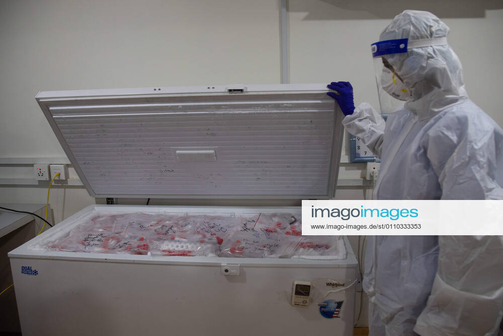 A laboratory technologist Srijana Adhikari wearing a personal protective equipment (PPE) manages COVID-19 samples in a freezer inside the COVID-19 lab at the Bidh Lab. .Nepal has confirmed that a new variant of coronavirus has entered Nepal as well. Issuing a statement on Monday the Ministry of Health and Population stated that three out of six people who arrived here from the UK a few days ago are found infected with the new variant. Kathmandu Nepal - ZUMAs197 20210118_zaa_s197_107