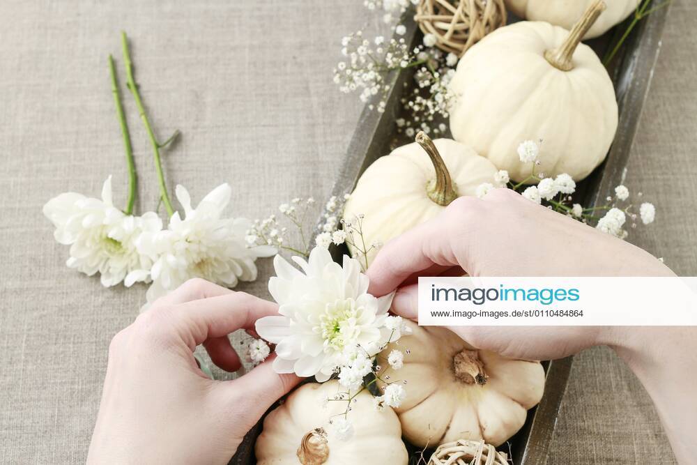 Florist at work: How to make floral decoration with white pumpkins called baby boo and chrysanthemum flowers. Step by step, tutorial. BEW1D6F3A40