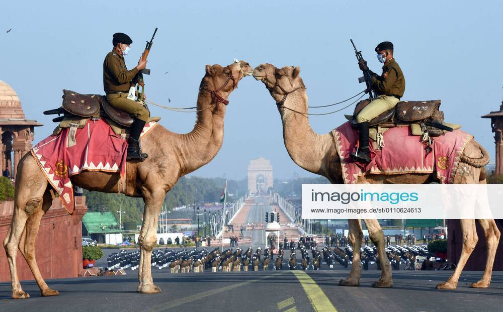 KW03 NEW DELHI, INDIA - JANUARY 21: Border Security Force (BSF) camel contingent stands guard at Raisina Hills during the rehearsals for Beating Retreat 2021, at Raisina hill on January 21, 2021 in New Delhi, India. (Photo By Sonu Mehta Hindustan Times) Republic Day Rehearsals