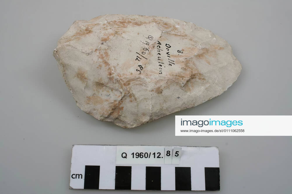 Casting of a flint tool: a biface., Casting, tool, plaster, 14.2 x 9.4 x 3.3 cm, France, unknown, unknown, Orville Copyright Artokoloro LC200106_44812