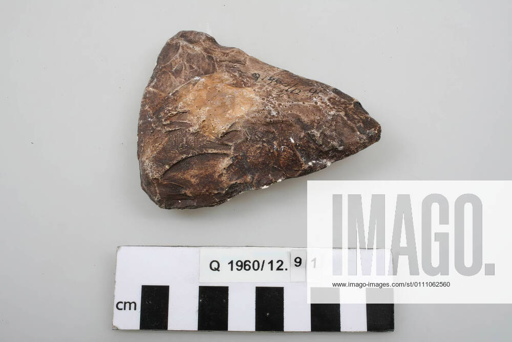 Casting of a flint tool: a biface., Casting, tool, plaster, 9.5 x 7.9 x 2.2 cm, France, unknown, unknown, le Moustier Copyright Artokoloro LC200106_44814