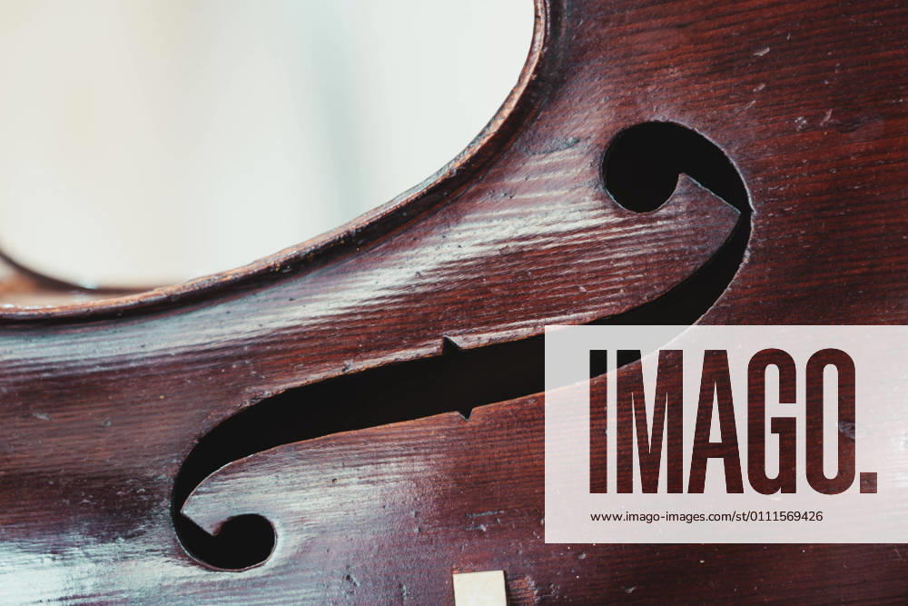 IMAGO Creative: Bildung, Musikerziehung Dark wood cello placed on counter against wall with assorted acoustic musical instruments in modern light shop