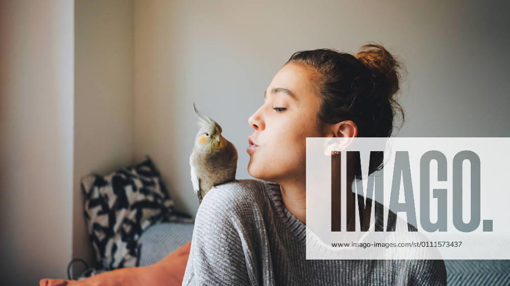 Young female owner in casual clothes preparing to kiss adorable cockatiel bird sitting on shoulder in living room