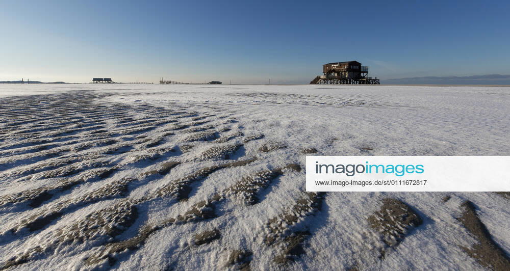 St Peter Ording, snow, winter pile dwelling silver gull, restaurant, with snow, 30 01 2021, Ordinger main beach, St Peter Ording St Peter Ording main beach Schleswig Holstein Germany