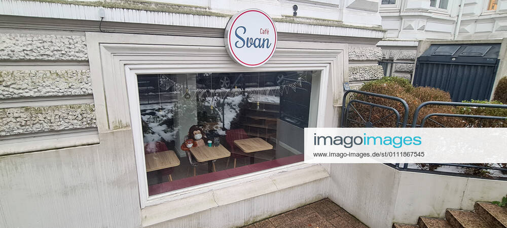 Hamburg in Corona Lockdown scenes in February 2021 around the Hamburg Außenalster two lonely stuffed animals sit in the window of a corona closed bistro in Hamburg Uhlenhorst Hamburg in Corona Lockdown scenes in February 2021 around the Hamburg Außenalster , Hamburg Hamburg Germany downtown around the Alster