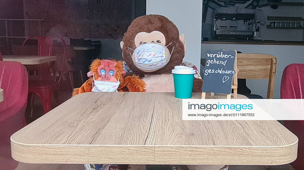 Hamburg in Corona Lockdown scenes in February 2021 around the Hamburg Außenalster two lonely stuffed animals sit in the window of a corona closed bistro in Hamburg Uhlenhorst Hamburg in Corona Lockdown scenes in February 2021 around the Hamburg Außenalster , Hamburg Hamburg Germany downtown around the Alster