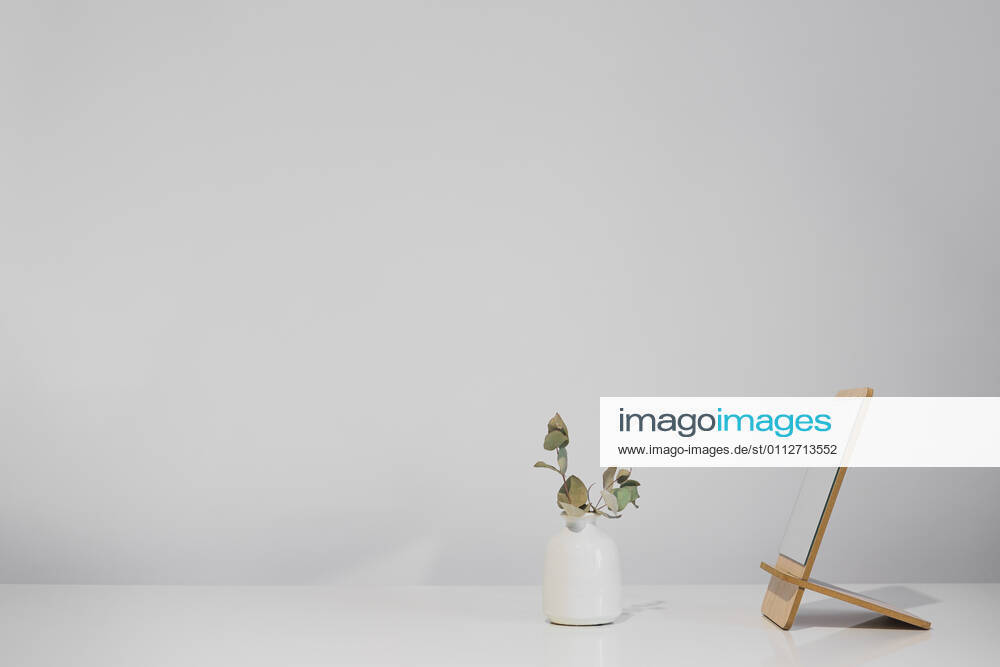 IMAGO Creative: Clickbait, Deko Ideen für Zuhause Dry plant in a vase standing next to the mirror on white table t CR_AXHBBX210210-638507-01