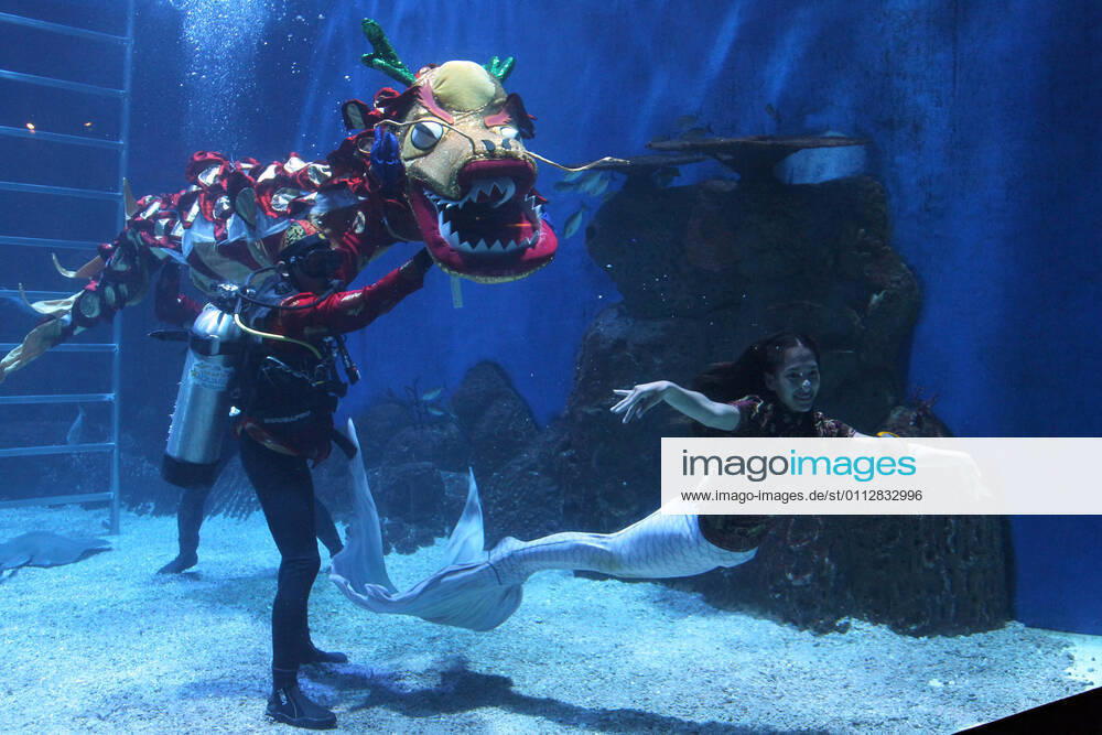 The Liong Show Underwater attraction with mermaids played by safety divers and free divers enlivened in celebration of Chinese New Year 2572 at the Jakarta Aquarium and Safari at the Neo Soho mall, Jakarta, on February 12,2021. The show was in order to enliven Chinese New Year and as a means of recreation for children and families where there was a concession from the government during the COVID-19 pandemic by implementing strict health protocols. Jakarta Indonesia - ZUMAr173 20210212_zip_r173_008