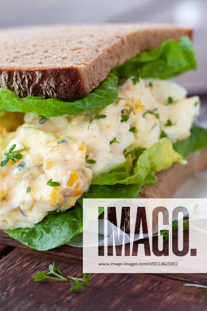 Rustic topped bread with egg salad and fresh salad 1079706510