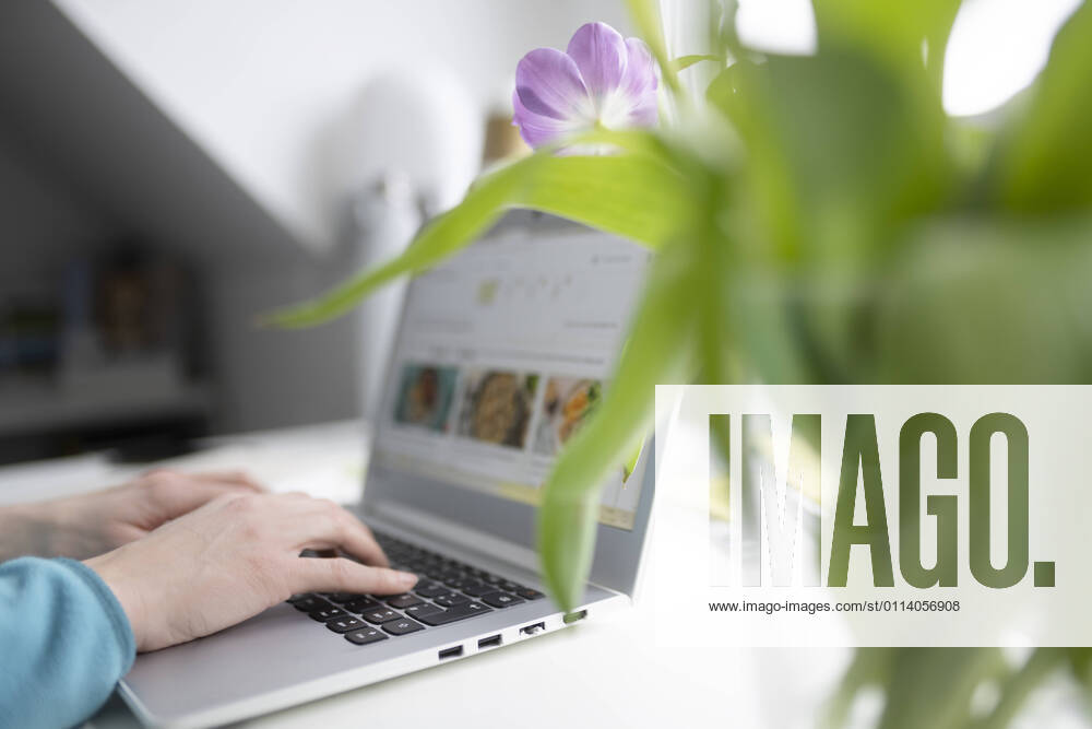 Female entrepreneur using laptop by tulip plant at table in home office model released Symbolfoto property released CHPF00744