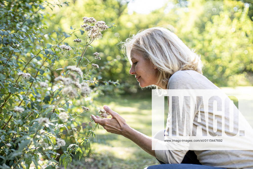 IMAGO Creative: Internationaler Frauenmonat, Gesundheit, Frauen in der Menopause Smiling mature woman looking at flowers in backyard