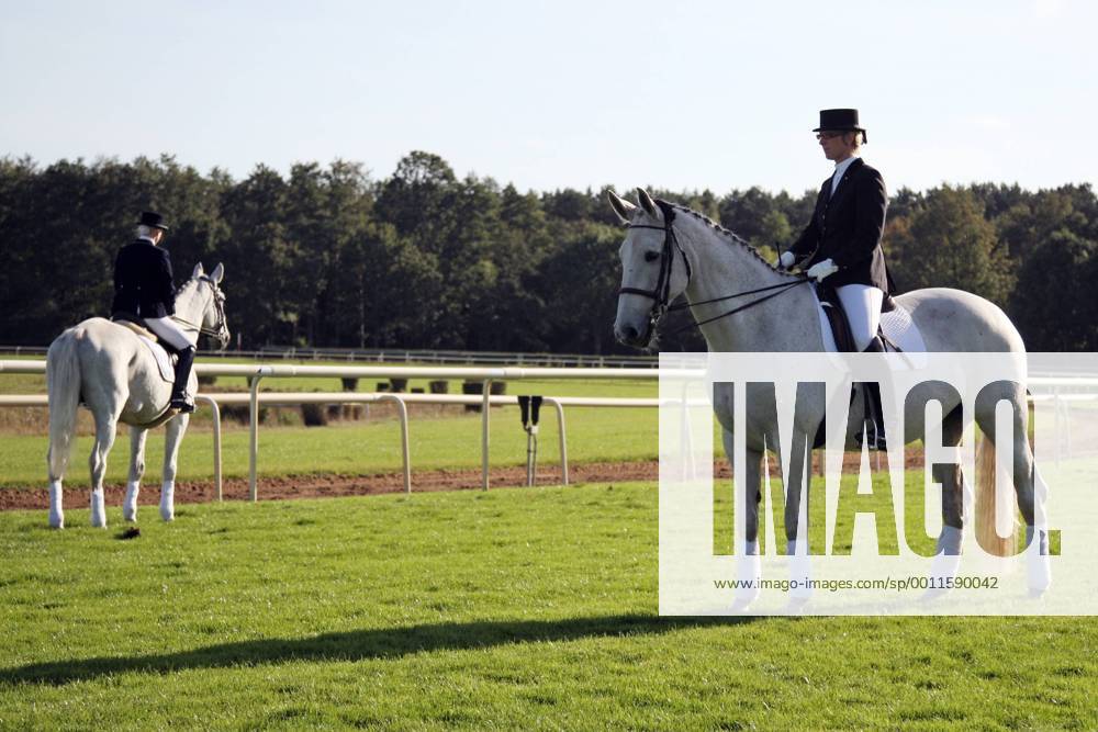 Hannover, Niedersachsen, GER - Dressurreiterinnen stehen mit ihren Pferden auf dem Gelaeuf. Galopprennbahn Hannover, Neue Bult. (Pferde, Reiter, Dressur, Dressurreiten, Dressurreiterin, entgegengesetzt, Streit, streiten, Zwist) 335D300912HANNOVER
