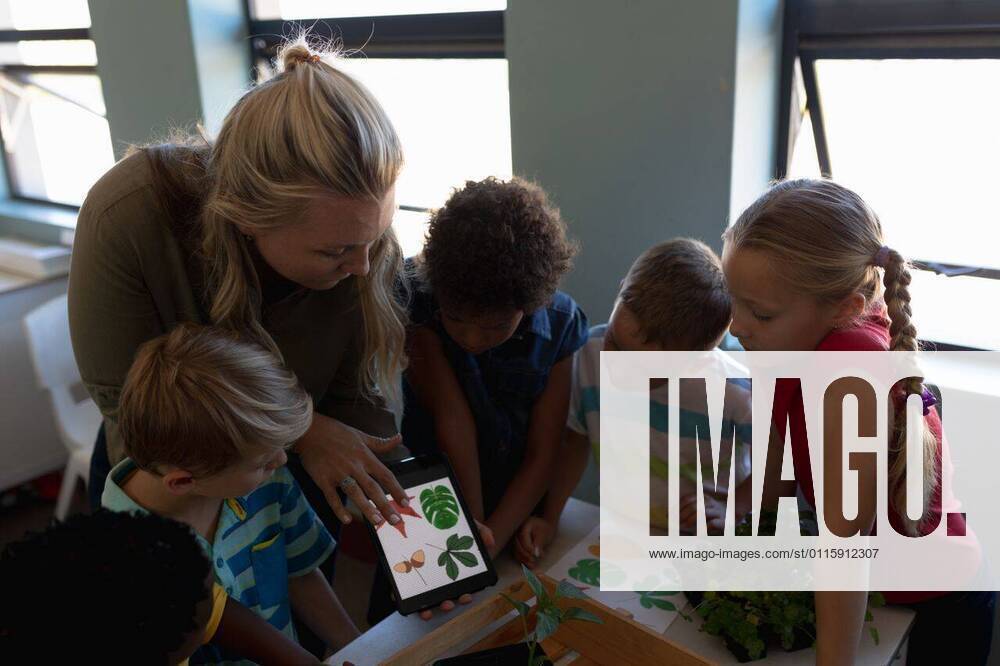 IMAGO Creative: Klimawandel - Umwelterziehung Female teacher looking at pictures of leaves on a tablet computer for a nature study lesson in an el High angle view of a Caucasian female elementary school teacher with long blonde hair and a diverse group of schoolchildren standing together looking at plants and pictures of leaves on a tablet computer and talking during a nature study lesson in an elementary school classroom, model released, , property released, Cape Town, South Africa, 01.12.2019, 1303795.jpg, people,people,real people,class,classmates,school,elementary school,primary school,classroom,education,lesson,student,pupil,studying,study,learn,learning,together,interacting,communication,information,knowledge,development,attention,teacher,teaching,working,job,career,occupation,p