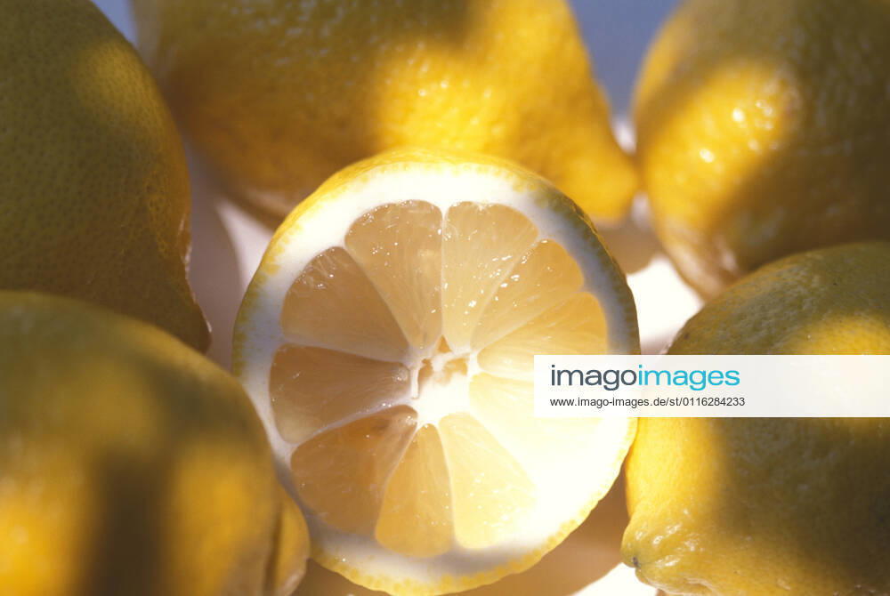 Lemons, Italy NicoTondini Cuboimages 1028_29_NTO0470