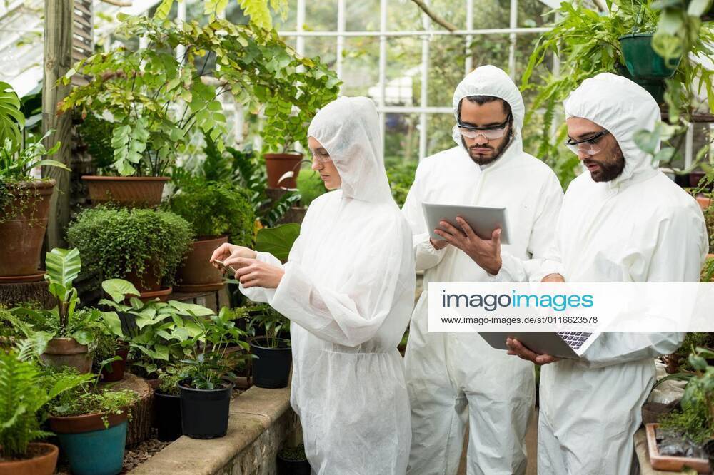 IMAGO Creative: Business, Innovative Technologie-Lösungen Scientists using technologies while examining plants Scientists in clean suit using technologies while examining plants at greenhouse, model released, , property released, Cape Town, South Africa, 11.05.2016, 772514.jpg, research, holding, agriculture, botany, greenhouse, nature, environment, occupation, professional, standing, study, analysis, biologist, biology, science, scientist, working, protective eyewear, safety, protection, botanical, horticulture, agronomy, profession, coworkers, colleagues, teamwork, together, clean suit, using, laptop, notebook, technology, computer, wireless, connection, communication, tablet computer, digital tablet, tablet pc, examining, cellphone Indoors,Front view,Focus on Foreground,Day,Three Quarter Lengt
