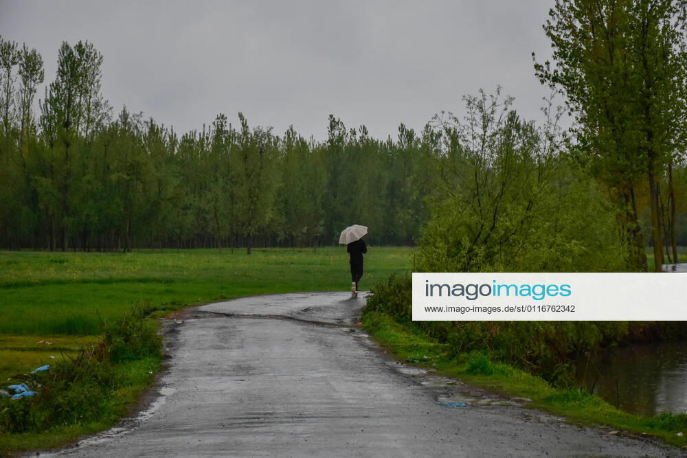 Srinagar, Jammu & Kashmir, India: A man holds an umbrella as he walks through a road during rainfall on the outskirts of Srinagar. Srinagar India - ZUMAs197 20210411_zab_s197_010