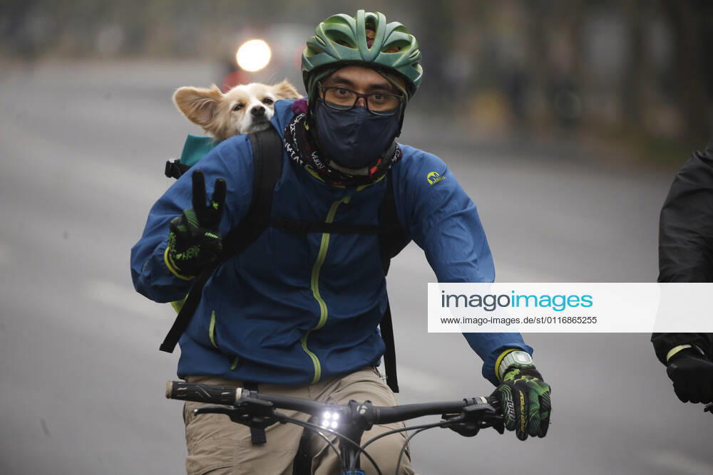 Large influx of cyclists in a new day of sports strip during the quarantine by coronavirus pandemic Jonnathan Oyarzun Aton Chile, Santiago Chile Aton Chile Aton 502915