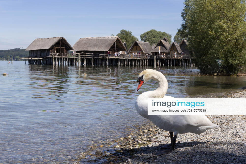 Reconstructed pile dwellings Unteruhldingen at Lake Constance Germany 1065525100