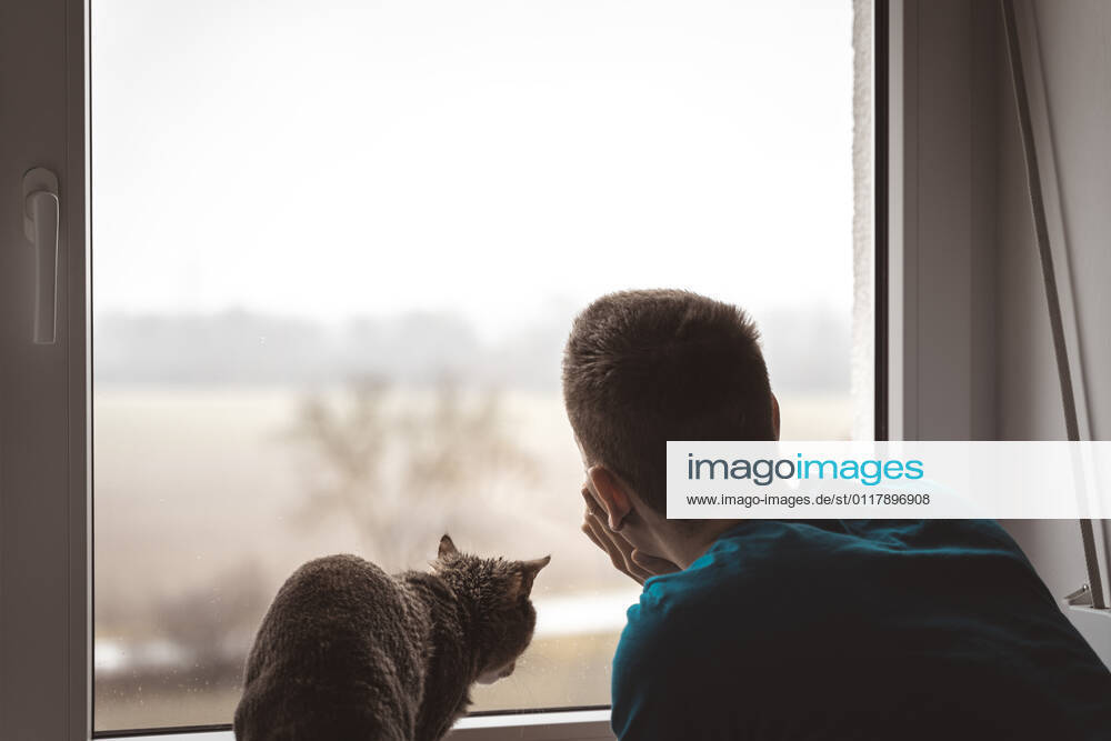 Bavaria, germany - february 07 2021: young man looks out of the window with his petted cat on a gloomy rainy day. concept of sadness and friendship.