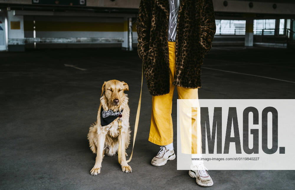 IMAGO Creative: Clickbait, Modetrends Low section of young man with dog standing in parking garage Berlin, Germany, model released
