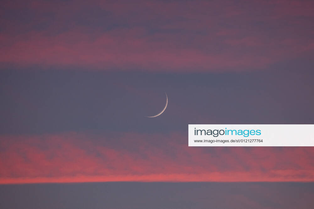Two days old new moon in the sky over Aachen against a background of pink clouds that owe their color to the sunset. In Aachen on June 12, 2021 GERMANY - AACHEN - WEATHER