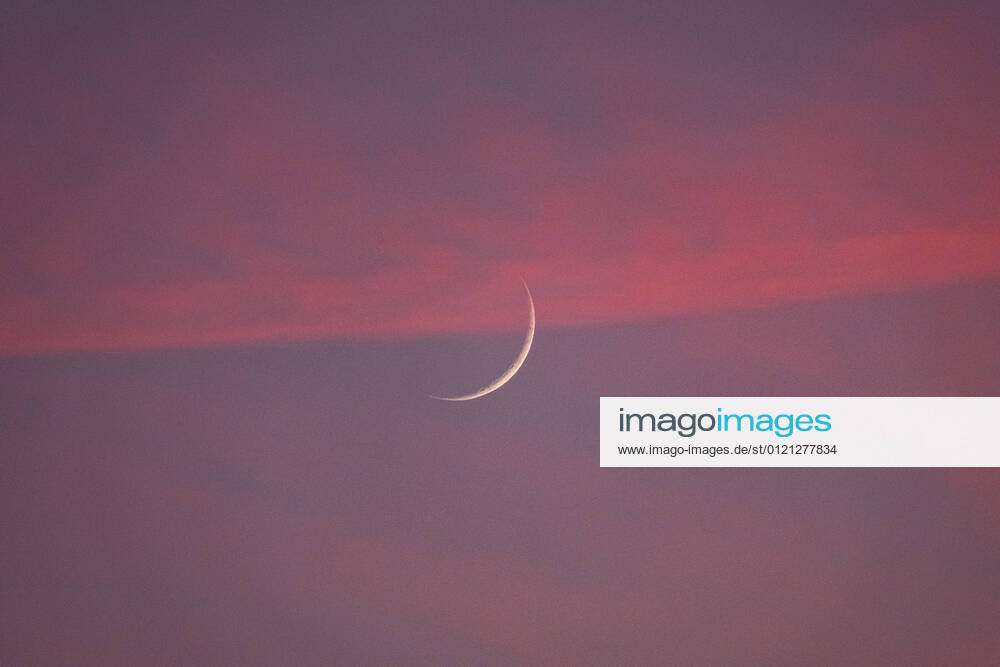 Two days old new moon in the sky over Aachen against a background of pink clouds that owe their color to the sunset. In Aachen on June 12, 2021 GERMANY - AACHEN - WEATHER