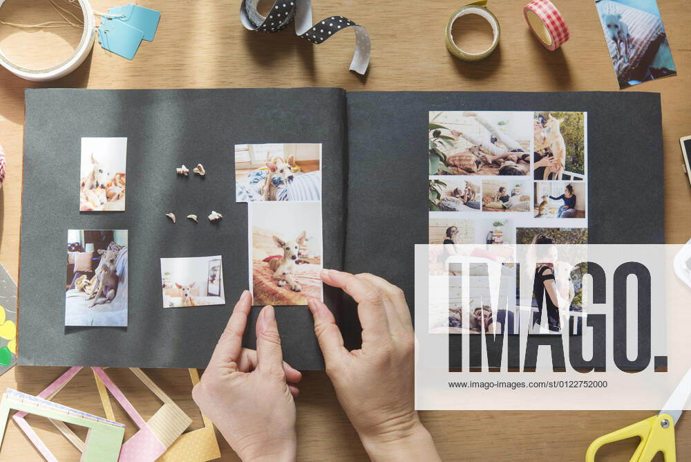 IMAGO Creative: Digitale Welt, Verzicht auf Technologie Woman making scrapbook of pet dog on table model released Symbolfoto property released SKCF00742