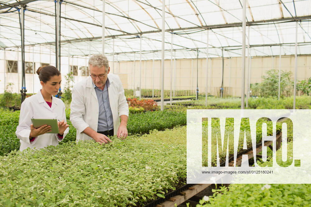 IMAGO Creative: 2022 Aussichten Botanists analysing plants at greenhouse.
