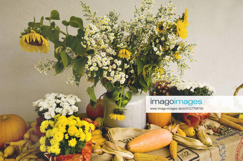 Thanksgiving table decoration at thanksgiving day, Germany BLWS648663