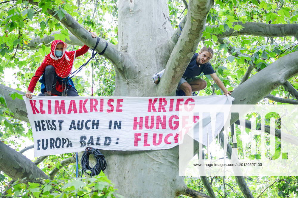 Climate activists occupy Monbijou Park Germany, Berlin on 16 08 2021 Two climate activists with climbing rope high on a tree They display a banner Climate crisis means soon war hunger flight also in Europe