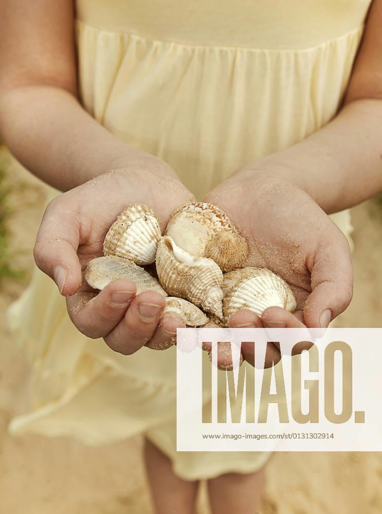 Girl with hands cupped holding seashells at beach model released Symbolfoto AJOF01586