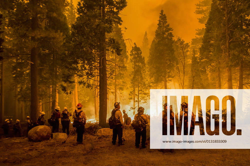 Firefighters stand by flames at the Caldor fire after starting a Backfire..The Caldor fire has grown to over 130,000 acres and threatens to grow to the Tahoe basin. These images where taken at a backfire set by crews in an effort to gain control on the Caldor fire. Cause still unknown at this time. Strawberry United States - ZUMAs197 20210826_zaa_s197_275