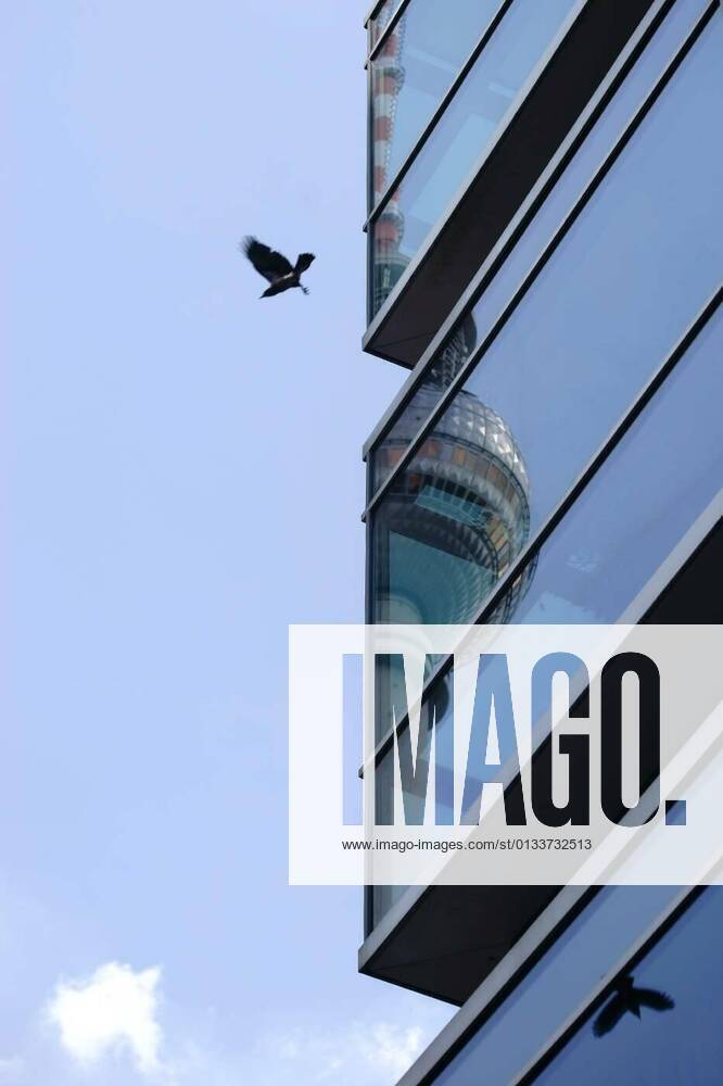 IMAGO Creative: Architektur in Berlin mirrored tv tower, 18.08.2016 22:38:29,