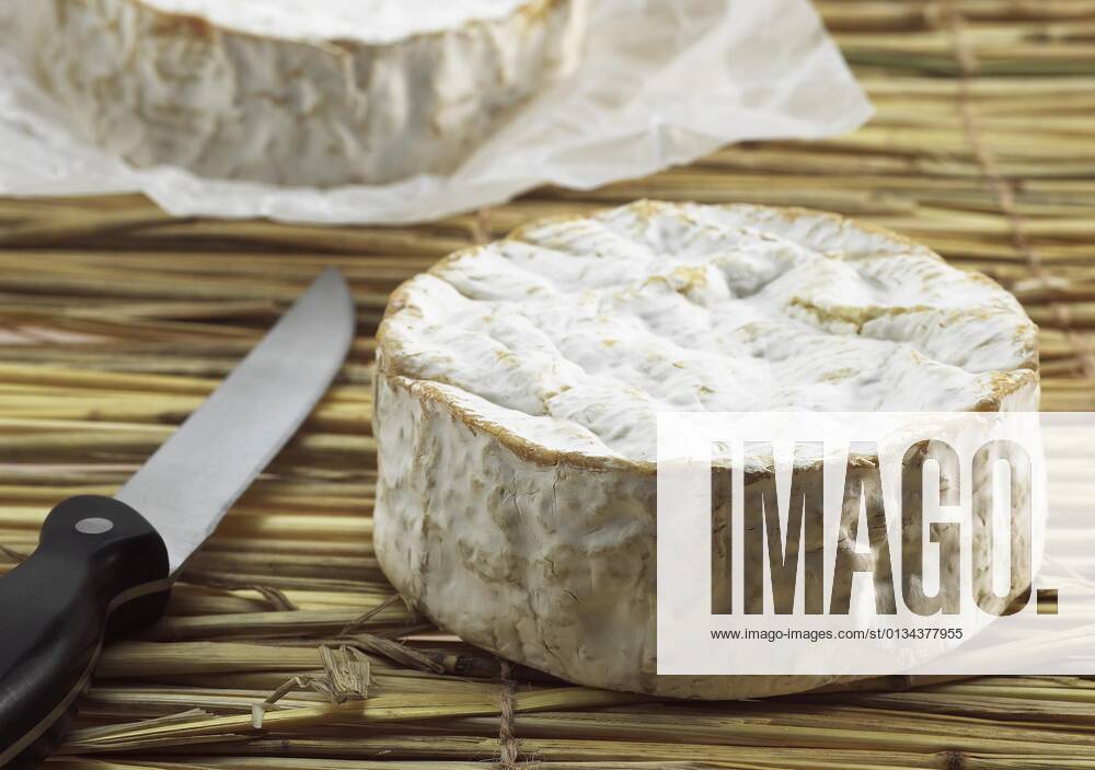 Camembert, French cheese made from cows milk from Normandy
