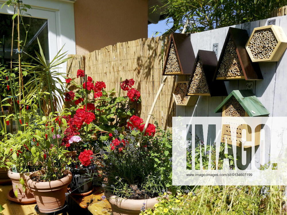 Garden,balcony,potted plants,patio,birdhouse,insect hotel,gardens,balconies,potted plant,patios,birdhouses,insect hotels fmy-lc4