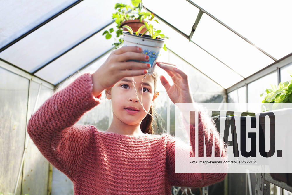 IMAGO Creative: Klimawandel - Umwelterziehung Girl holding plant pot, looking at roots, 18.11.2013,